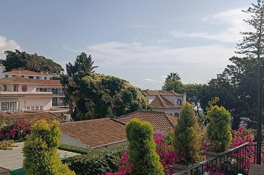 Rooftops of Funchal 